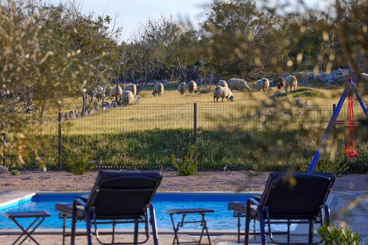 Villa Villa Niko Special Offer In May Pay 4 Nights Stay 5 Nights Pet Friendly 200 M From Sand Beach
